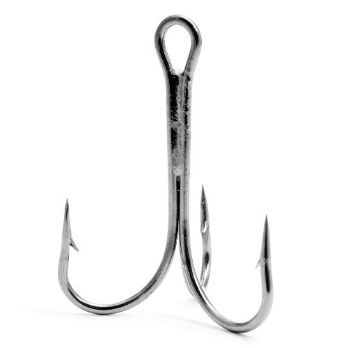 pesce fresco ogni giorno a torino