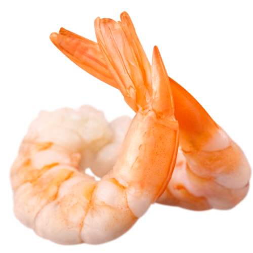 gamberi pescheria a torino